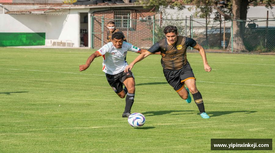 永不止步，闪耀荣耀！